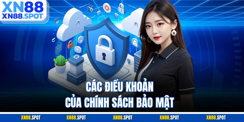 Các điều khoản của chính sách bảo mật